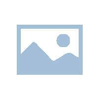 第14期全国BIM技能等级考试通过率